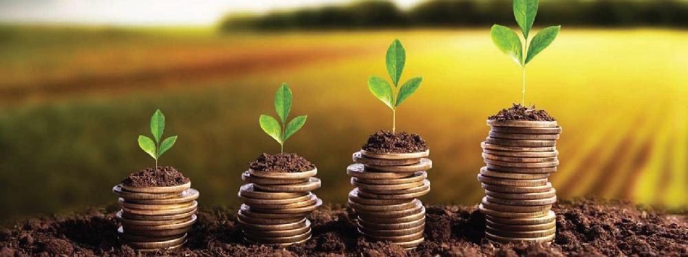 1_BLOG-1000-X-374-copy-14